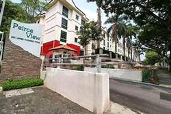 Peirce View Condominium (D20), Condominium #570933971